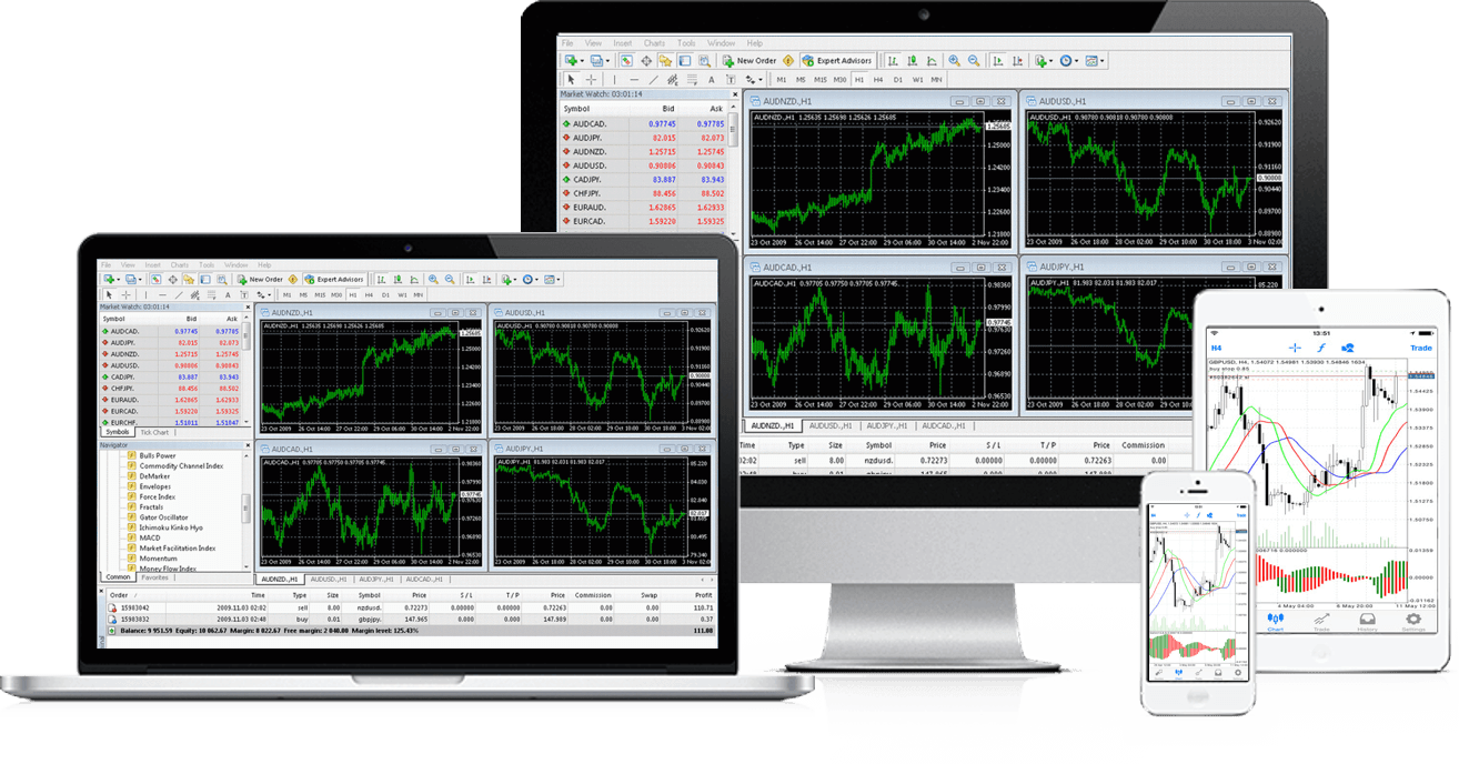 365 invest plattform