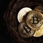 Minimal,Investing,Concept.,Easter,Gold,Bitcoin,Coins,In,Nest,On
