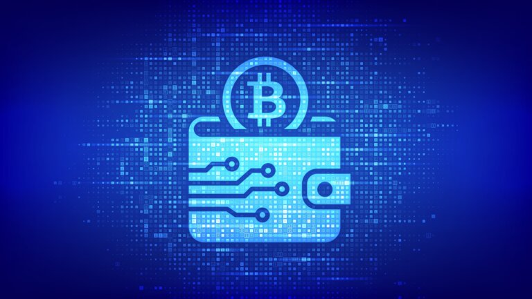 Crypto,Wallet,Icon,With,Bitcoin,Made,With,Binary,Code.,Digital