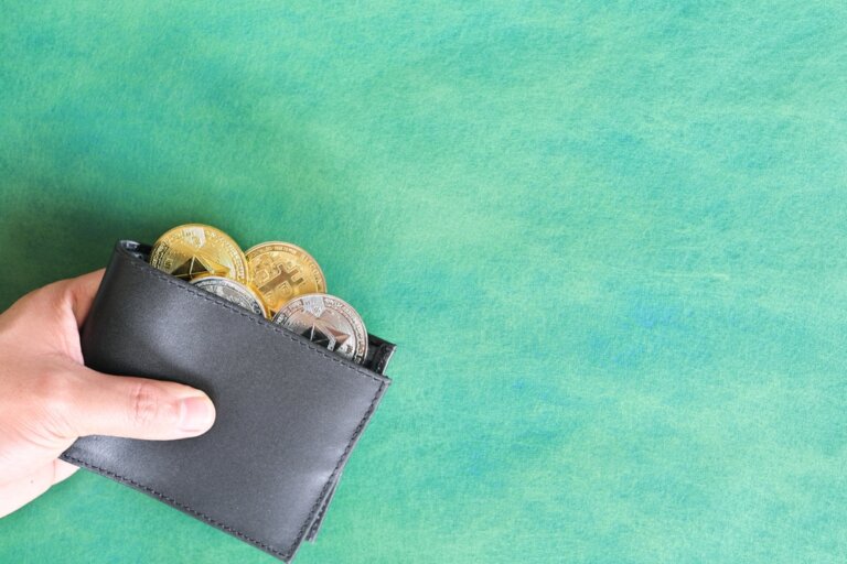 Black,Wallet,With,Crypto,Coins,Inside.,Cryptocurrency,Use,For,Payment