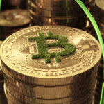 3d,Rendering,Illustration,Of,Bitcoin,And,Grass,Growing,Around,It.