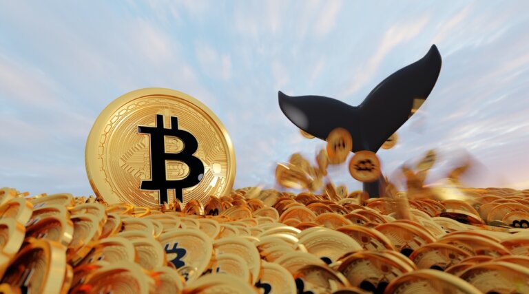 Bitcoin,Whale,In,Action,,,Whale,In,Many,Bitcoin,Ocean